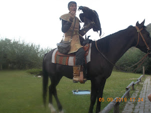 Demonstrating the unbelievable hunting prowess of a Golden Eagle carried by the hunter on horseback