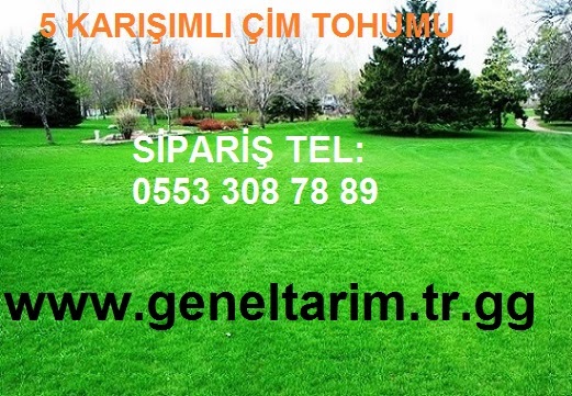 Geneltarim 5 Karisim Cim Tohumu 5 Li Karisim Cim Tohumu 5 Li Karisim Cim Tohumu 5 Karisimli Cim Tohumlari 5 Karisim Cim Tohumu Cim Tohumu Cim Tohumu Cim Tohumu Fiyati Cim Tohumu Fiyatlari Cim Fiyati Cim Fiyatlari Cim Cesitleri Cim Tohumu Fiyatlari Cim