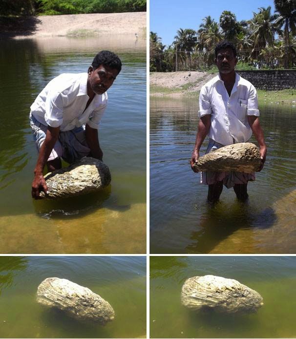 FLOATING STONE RAMAYANA WONDER!!