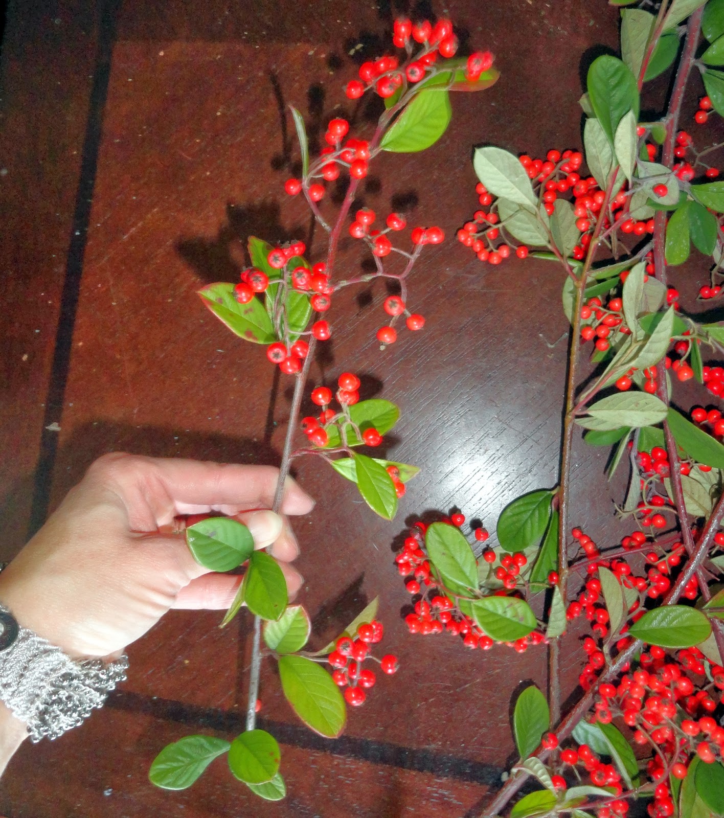 Boxwood wreath from Trader Joe's snazzed up for free Rachel Teodoro