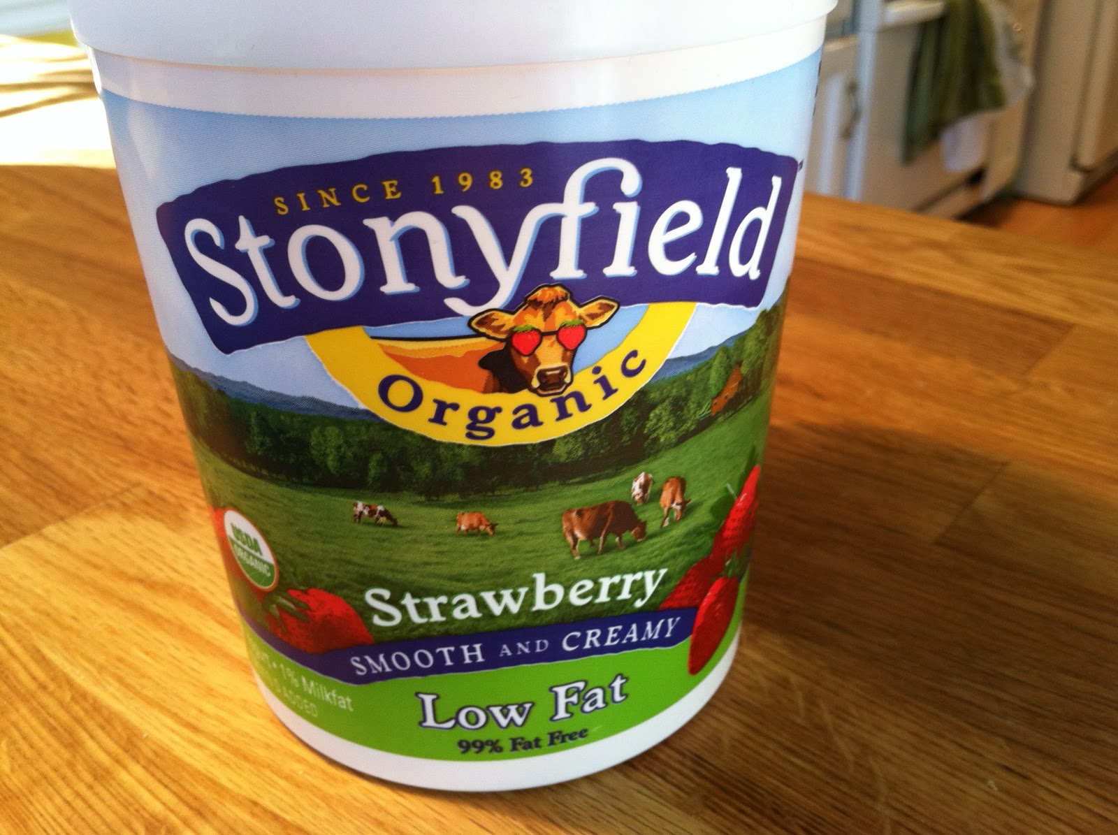 drink it in Homemade Yogurt Using a Crockpot Tutorial