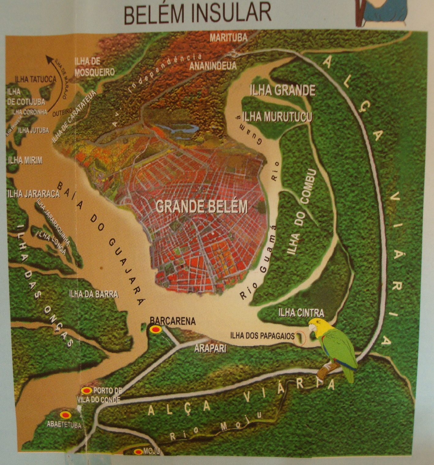 VIAGENS BRASIL  Praia Caripi-Barbacena-PA