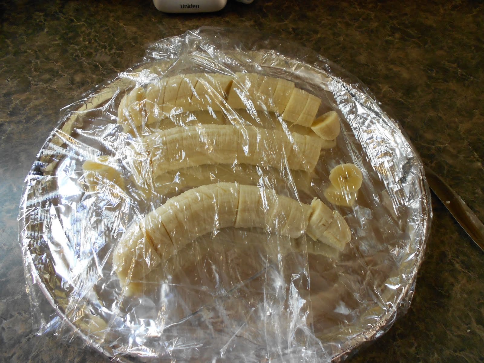 Almost Unschoolers One Ingredient, No Ice Cream Maker, Banana "Ice Cream"?