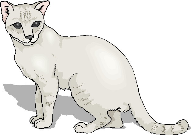 White Cute Free Cat Clipart | Free Microsoft Clipart