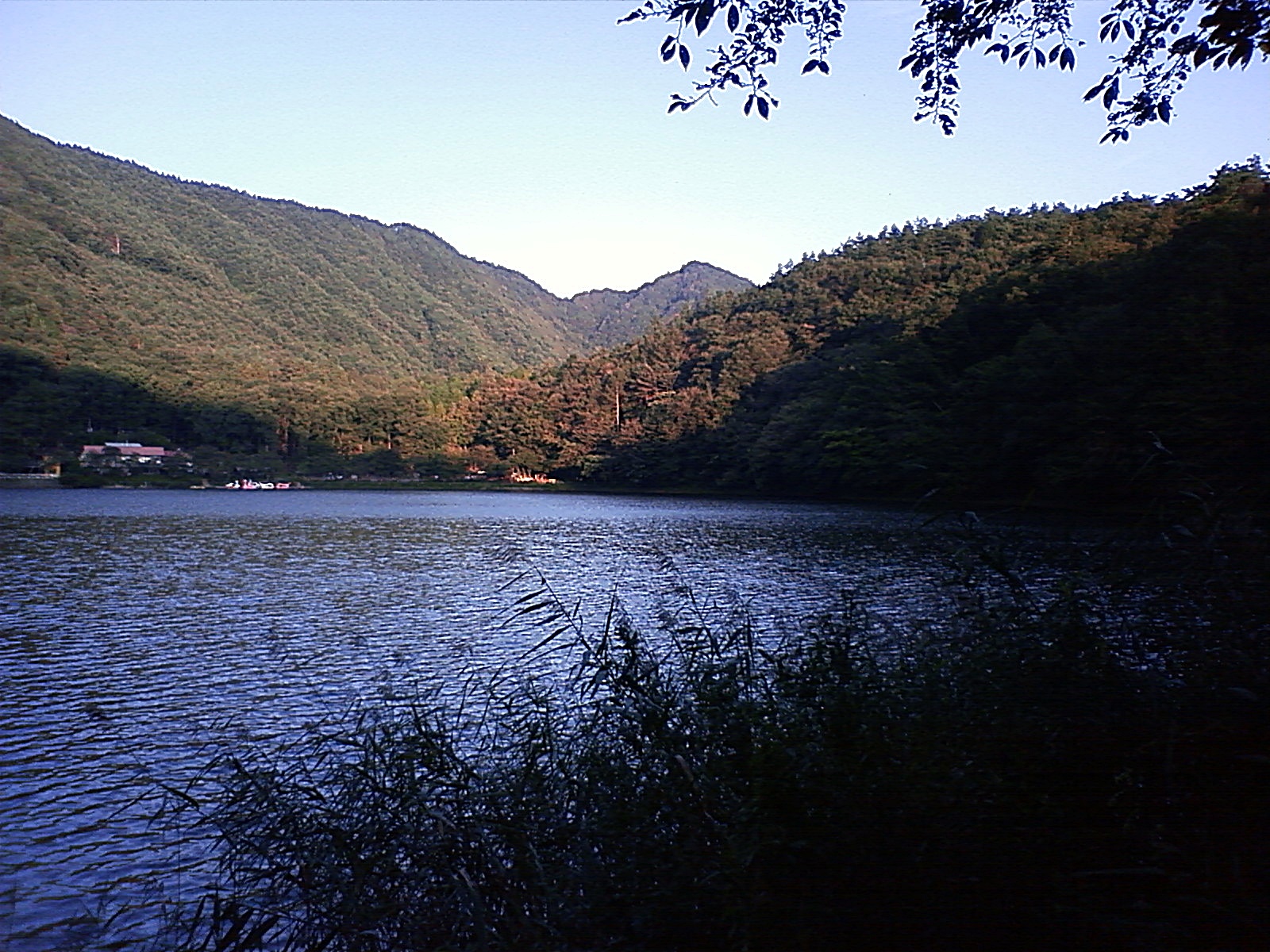 四尾連湖