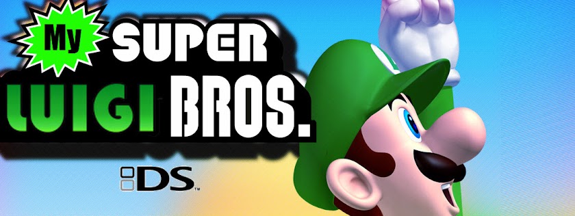 Super Luigi Bros Ds