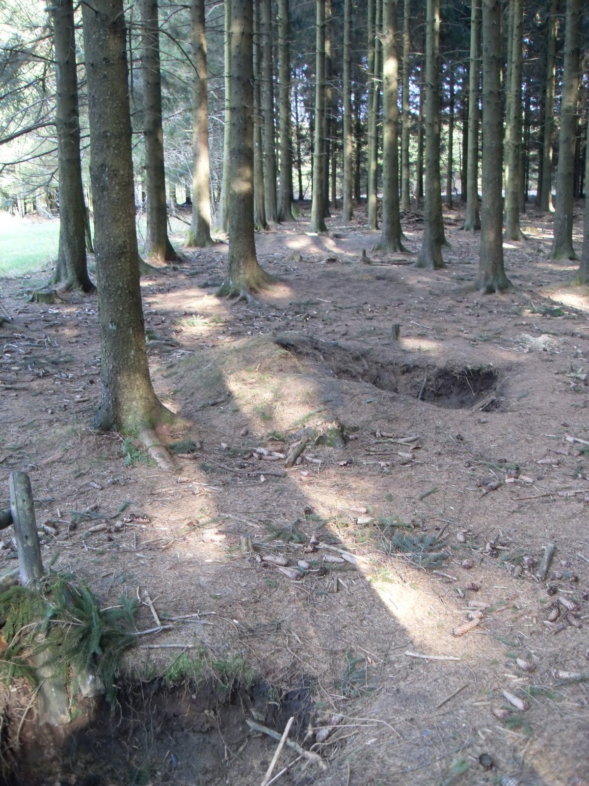 Traveler's Closet Belgium Ardennes, Bastogne