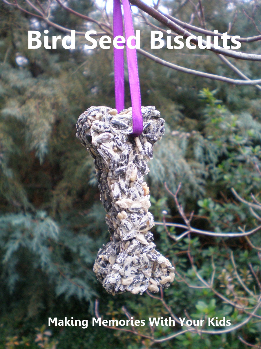 Bird Seed Biscuits Making Memories With Your Kids