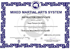 MMA Istructor