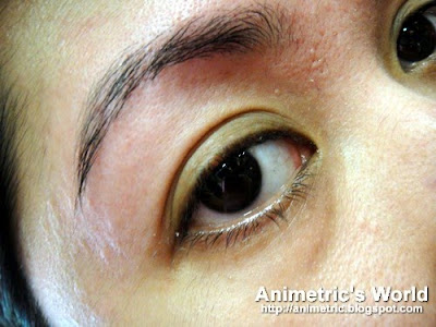Animetric's eyebrows
