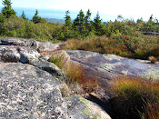 Mt. Cadillac, Maine