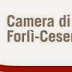 Forlì-Cesena - Convegno sui mercati elettronici per i beni e servizi
