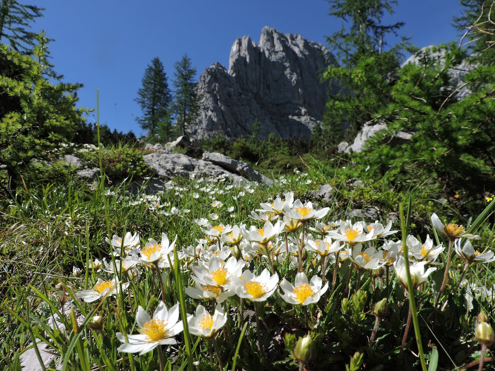 Habitats of Slovenia