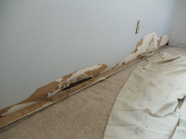 DEALING WITH MILDEW ON WALL