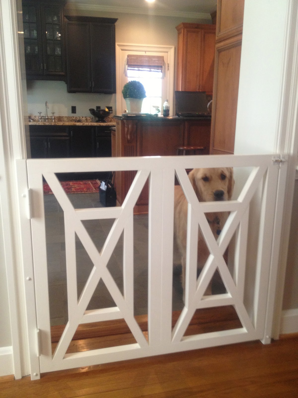LUCY WILLIAMS INTERIOR DESIGN BLOG DOGGIE DOOR TO DIE FOR!!