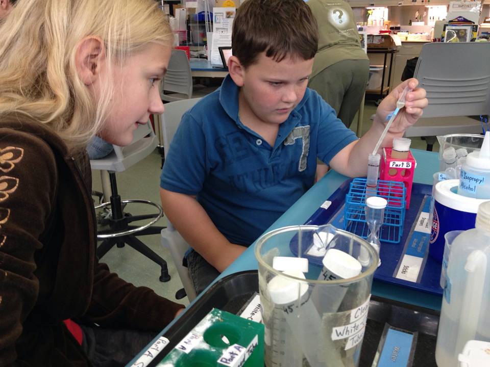 Trips 'n Toys Nature Research Center Raleigh, NC