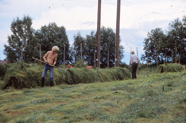 The Only EROEI that Matters is Energy Return on Human Labor Invested thumbnail