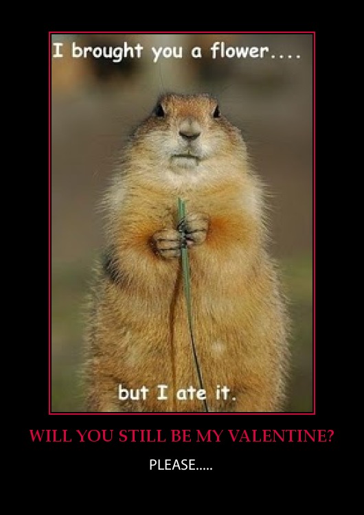 groundhog day jokes age jokes or humour for the chronologically gifted groundhog day jokes age jokes or humour for the chronologically gifted