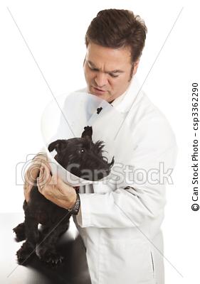 veterinarian