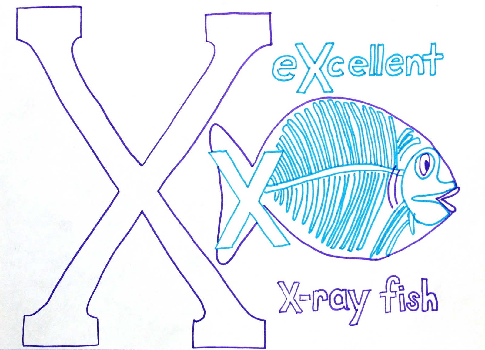 Animal That Starts With The Letter X | levelings