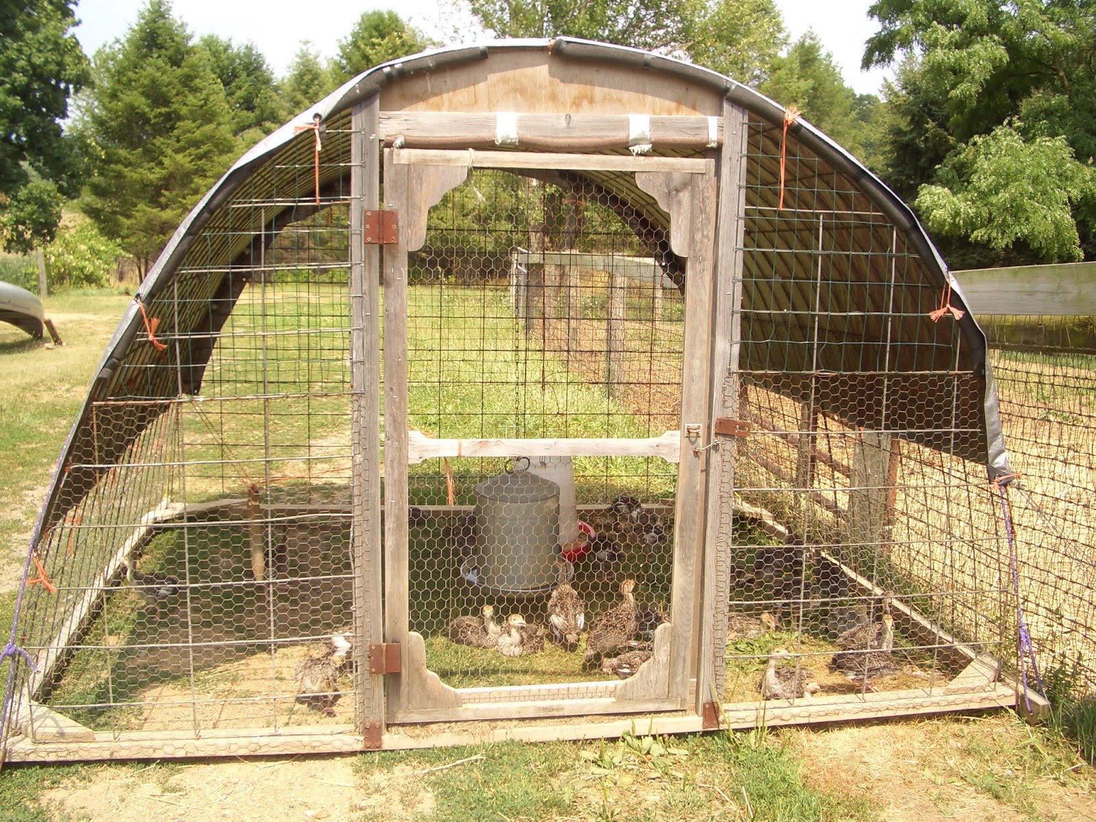 to Painted Hand Farm Learn To Build A Hoop Coop