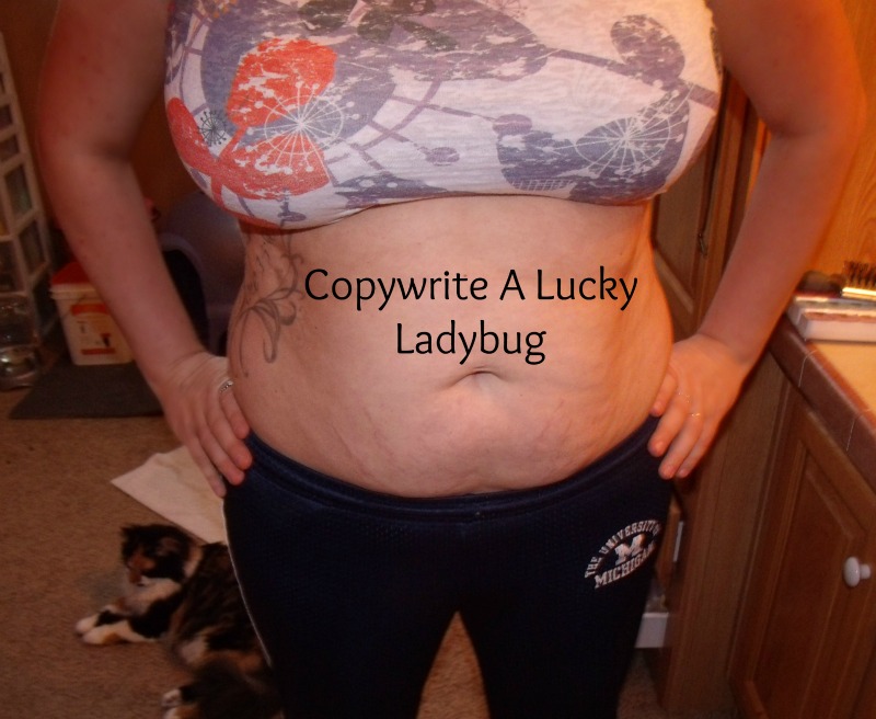 A Lucky Ladybug Flex Belt Review and Giveaway "Get Fit With Flex Belt"