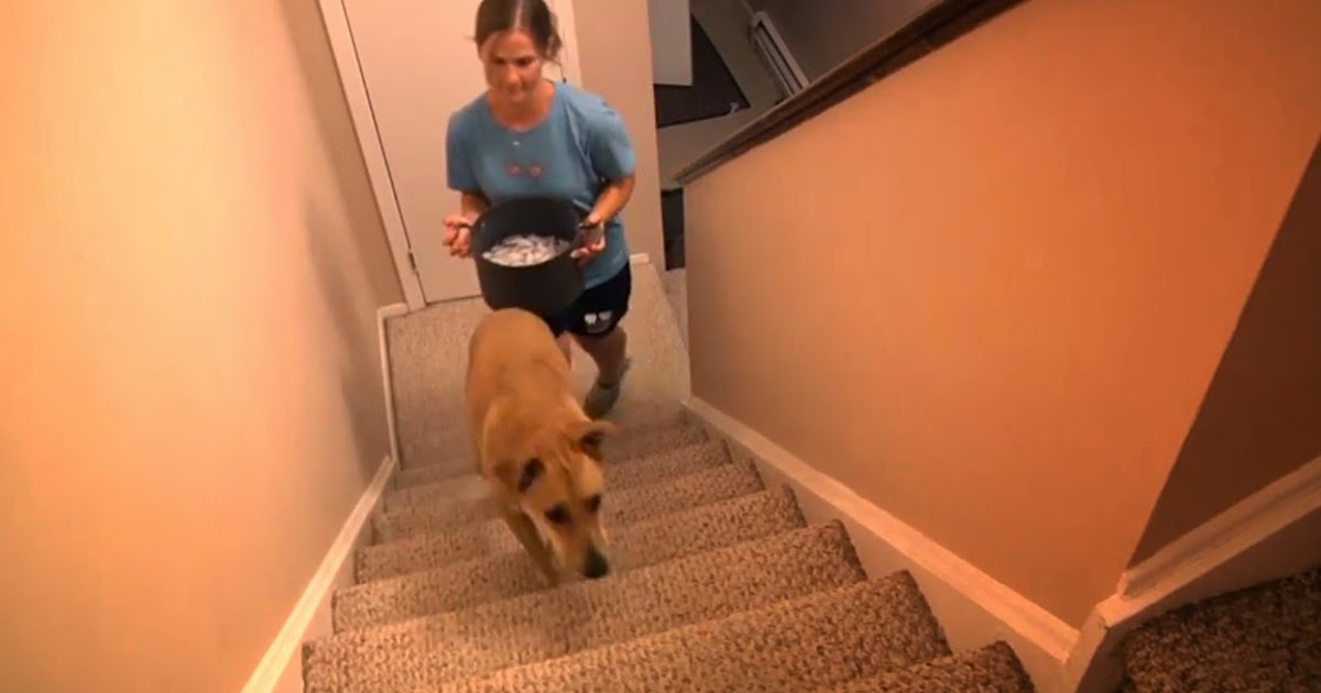 Fuzzbucket Ice Bucket Challenge Kenzie the Fuzzbucket