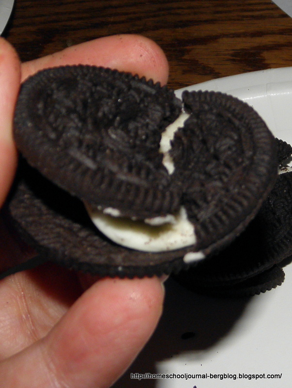 All Things Beautiful Oreo Plate Tectonics