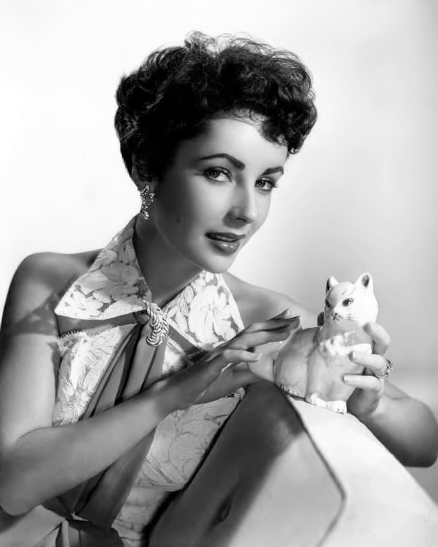 Elizabeth Taylor The Girl Who Had Everything photo gallery