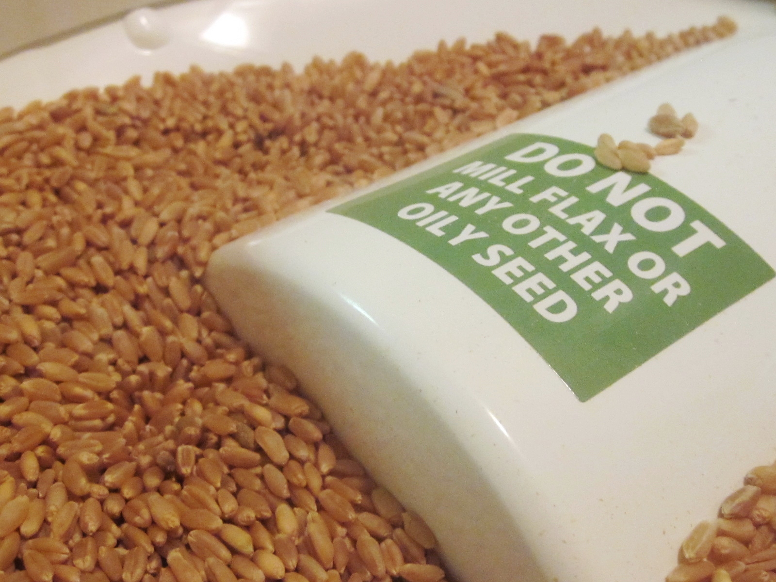 Chef Tess Bakeresse Making wholegrain flour at home in 3 Easy steps