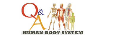 HUMAN BODY SYSTEM: What are the levels of structural organization in