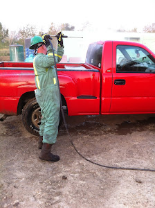 worm cleaning my truck