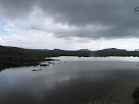 Punta Cormorant, Floreana, Galapagos Islands