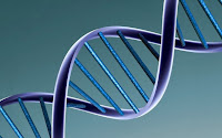 DNA - image by Caroline Davis2010 