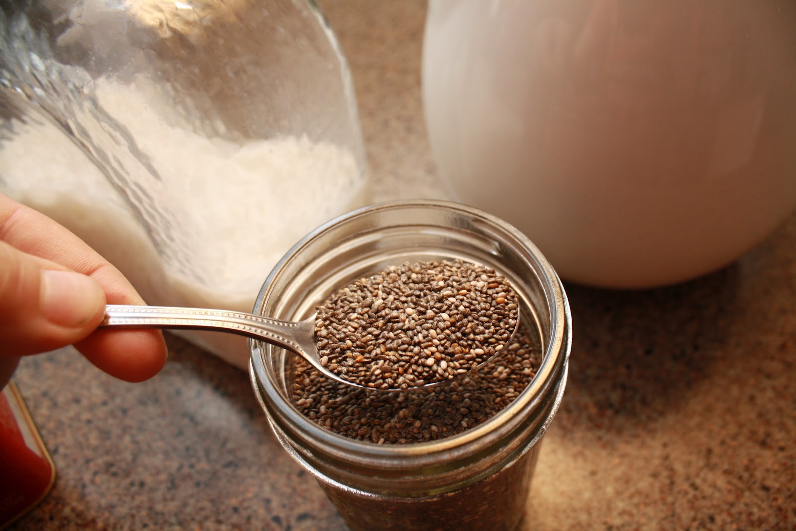 Blissfully Domestic Chia Seed Milk Tea