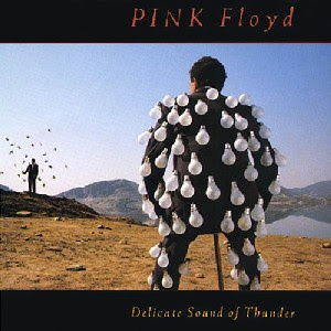Delicate%2BSound%2BOf%2BThunder.jpg