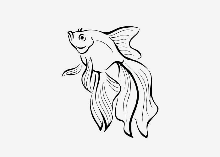 Rainbow Fish Coloring Page Template Rainbow Fish Coloring Page