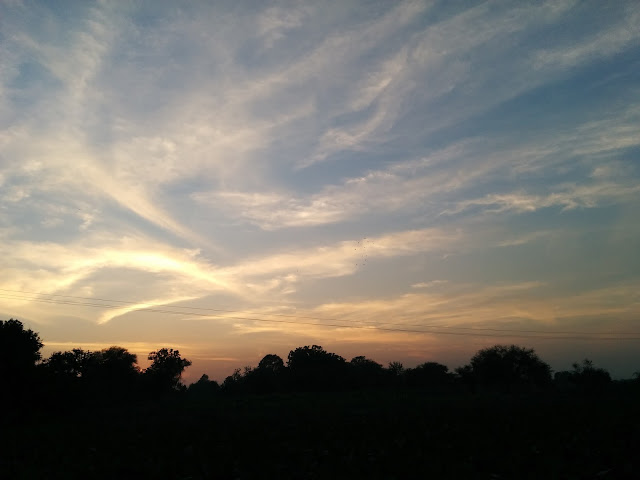 evening sky sunset birds