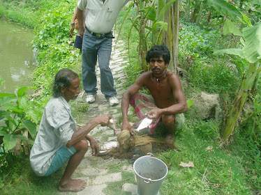 Catching fish