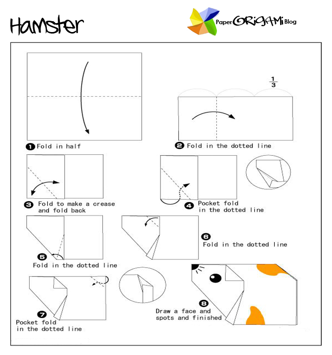 Animals Origam Hamster Paper Origami Guide