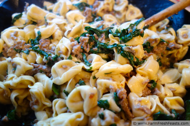 http://www.farmfreshfeasts.com/2013/01/spinach-sausage-alfredo-tortellini.html