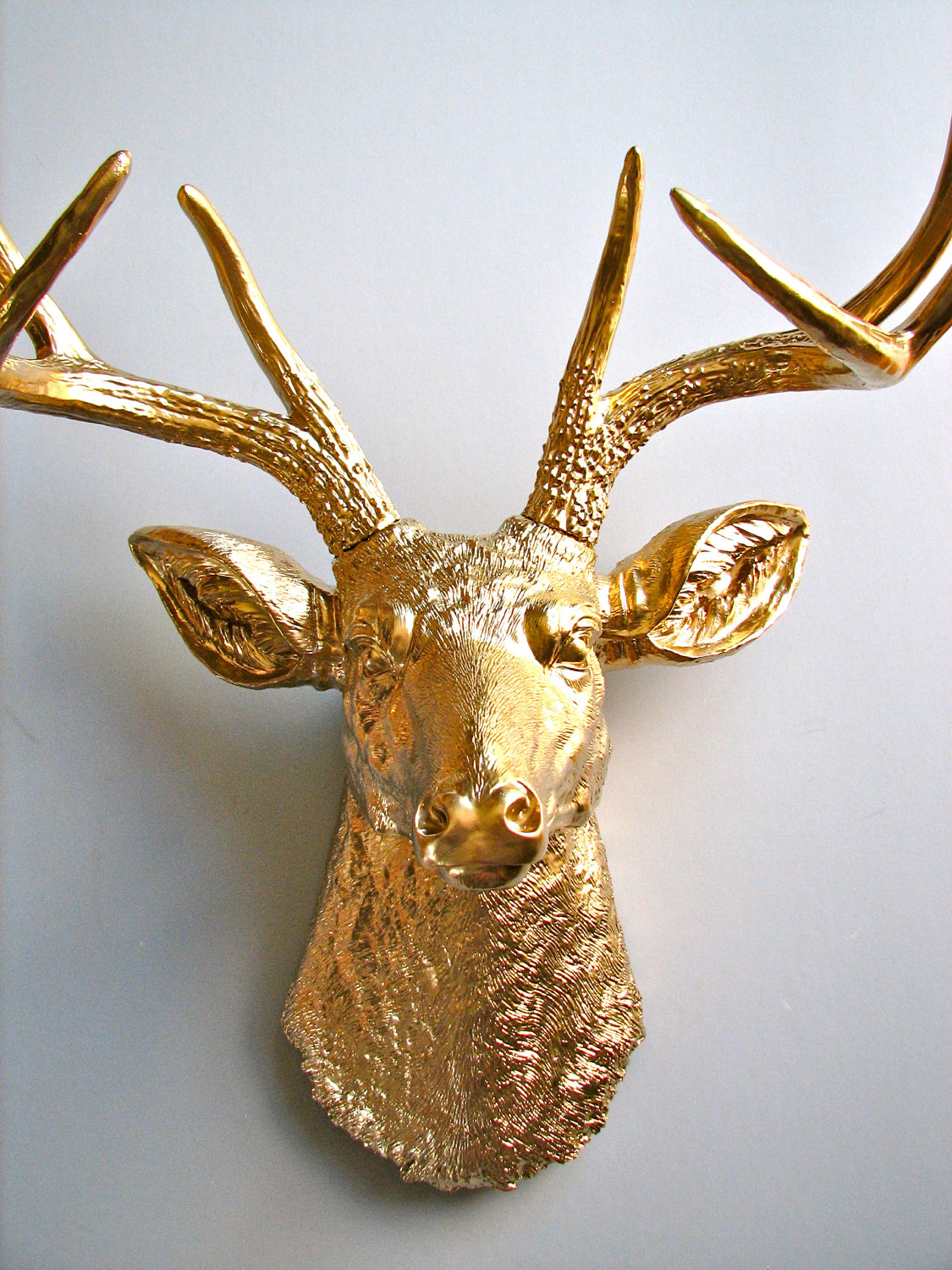 Kitchy animal head mounts Taxidermy Handmade Talks