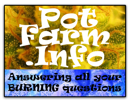 Pot Farm Info