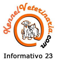 KENNEL COM CARDIOLOGIA