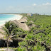 Temen hoteleros de Tulum a invasión de mosquitos del dengue
