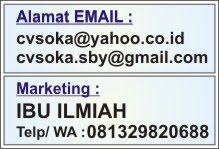 Email & Marketing
