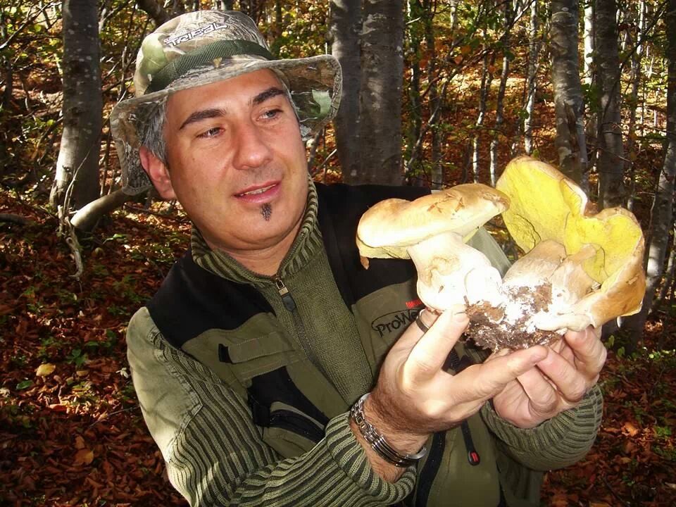 Boletus Edulis.....