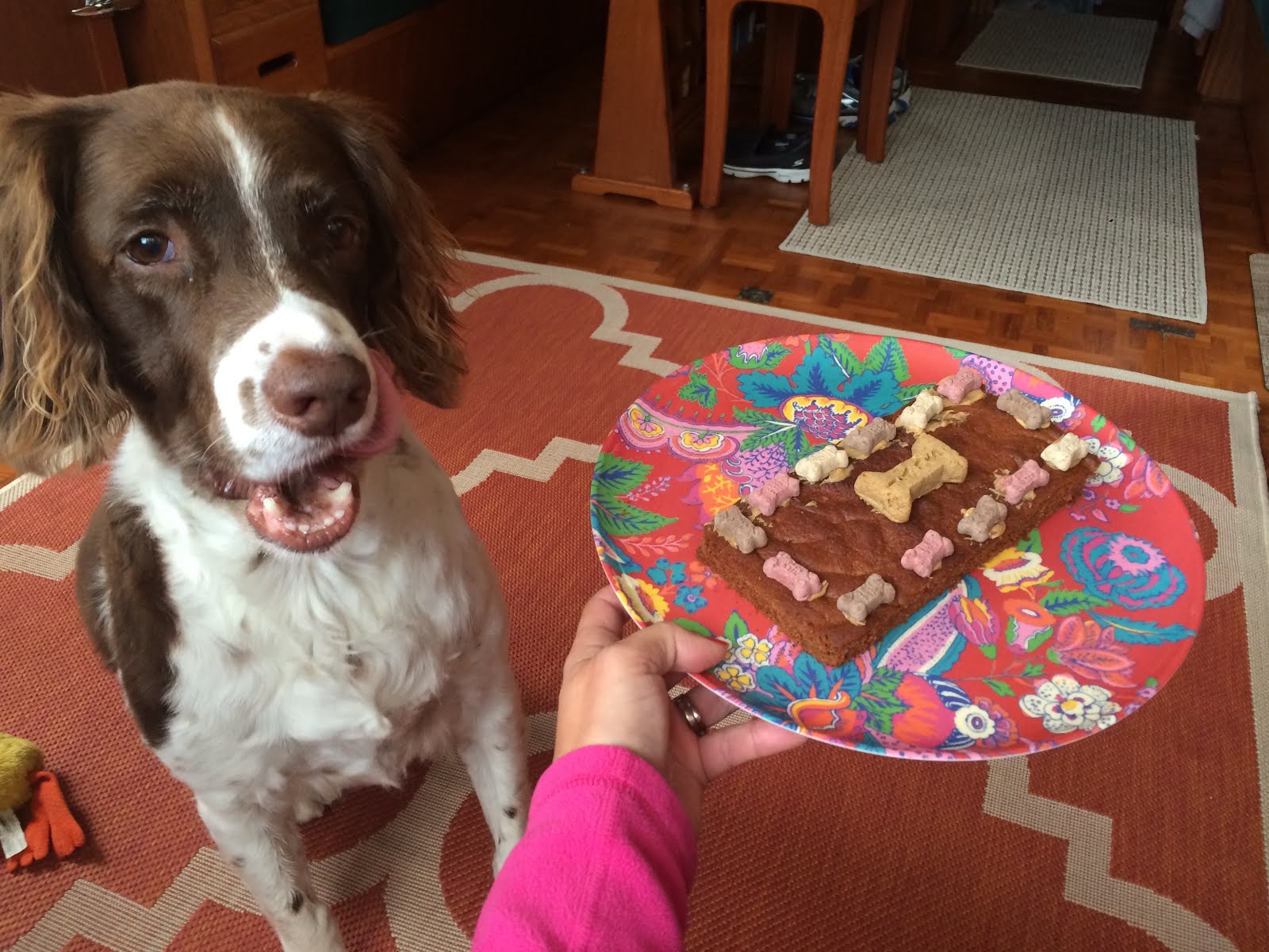 Crocket and his birthday cake