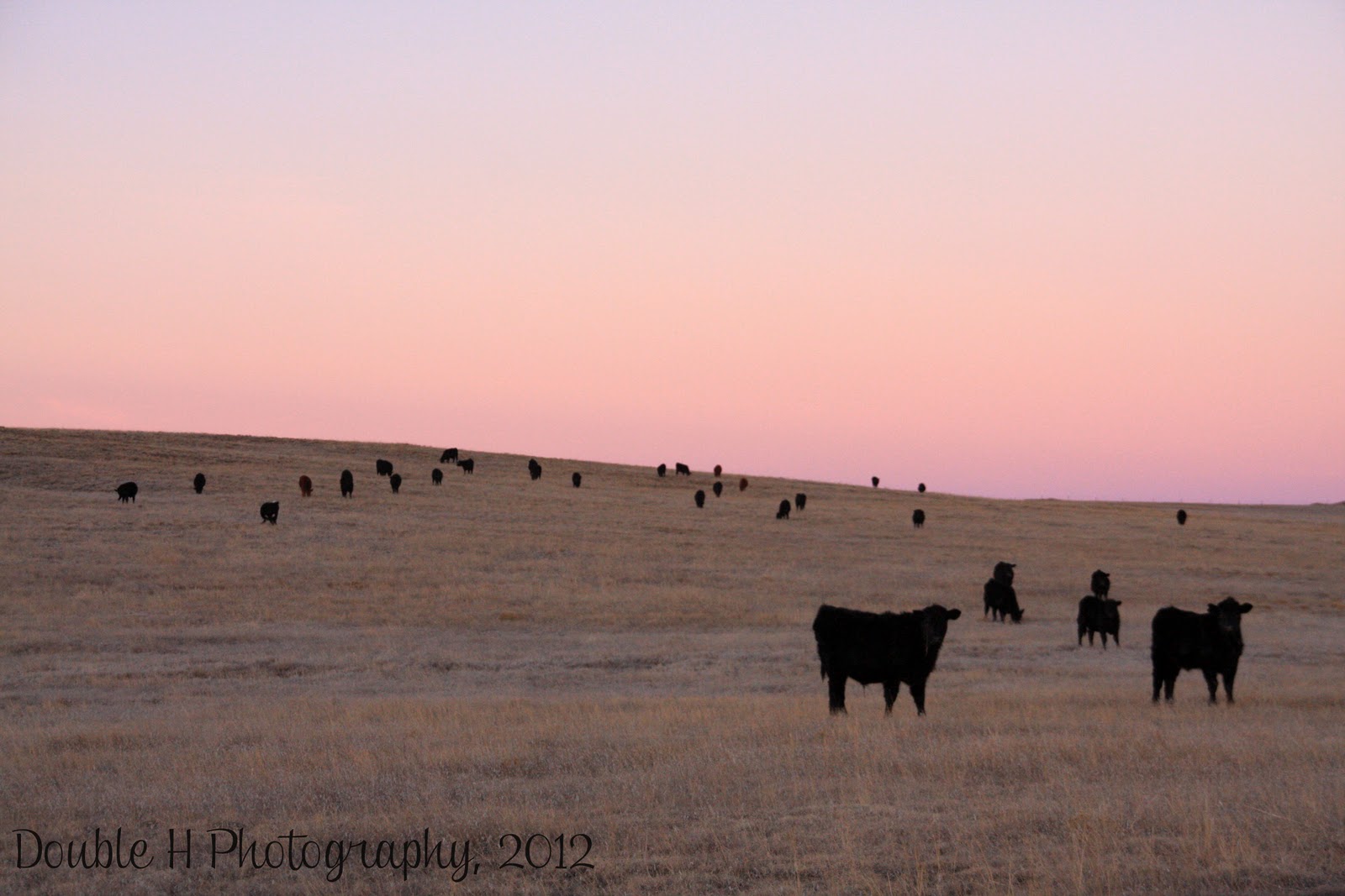 Double H Photography January 2012