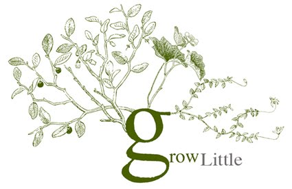 grow little